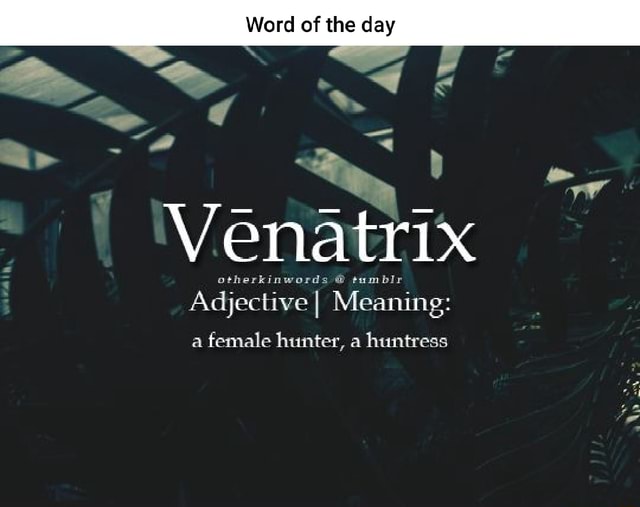 word-of-the-day-venatrix-adjective-i-meaning-a-female-hunter-a-huntress
