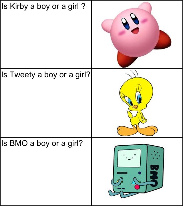 Is Kirby boy girl Is Tweety a boy or a girl? 