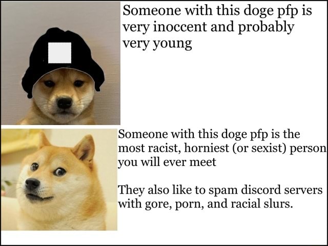 640px x 480px - Someone with this doge pfp is very inoccent and probably very young Someone  with this doge pfp is the most racist, horniest (or sexist) personI you  will ever meet They also like