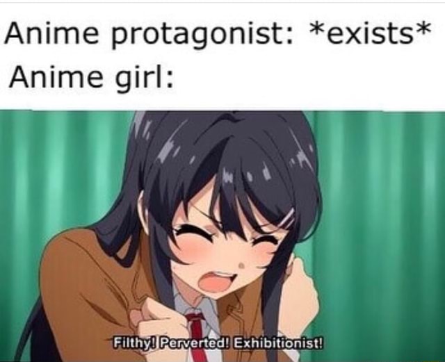 Anime protagonist: *exists* Anime girl: - iFunny