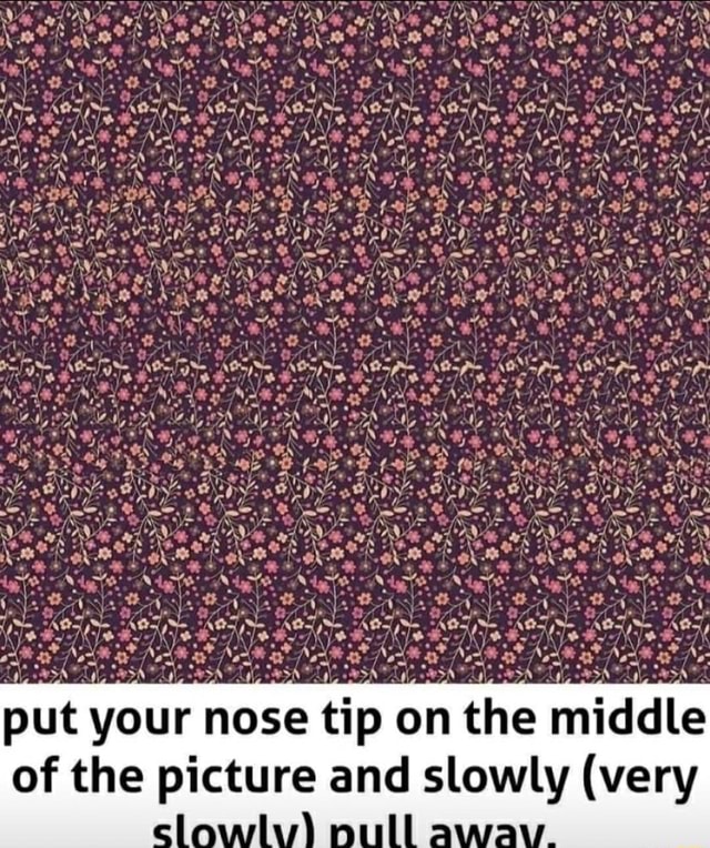 Put your nose tip on the middle of the picture and slowly (very )