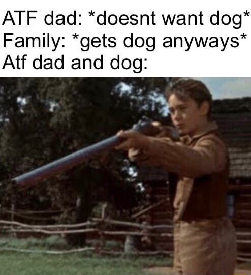 ATF dad: *doesnt want dog* Family: *gets dog anyways* Atf dad and dog ...