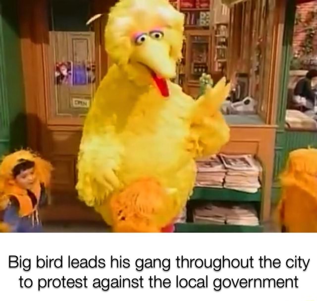 Big bird leads his gang throughout the city to protest against the ...