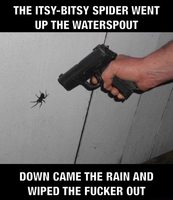 The Itsy Bitsy Spider Went Up The Waterspout Down Came The Rain And Wiped The Fucker Out 7875