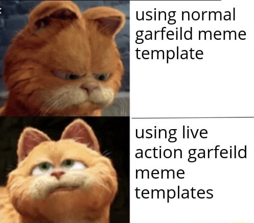 Using normal garfeild meme template using live action garfeild meme ...