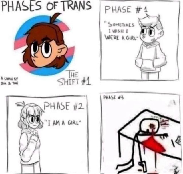 PHASES OF TRANS I PHASE #4 