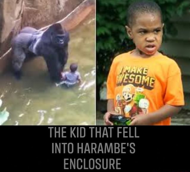 THE KID THAT FELL INTO HARAMBE'S ENCLOSURE iFunny