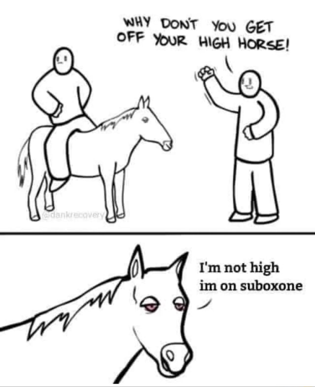 why-dont-you-get-off-your-high-horse-i-m-not-high-im-on-suboxone