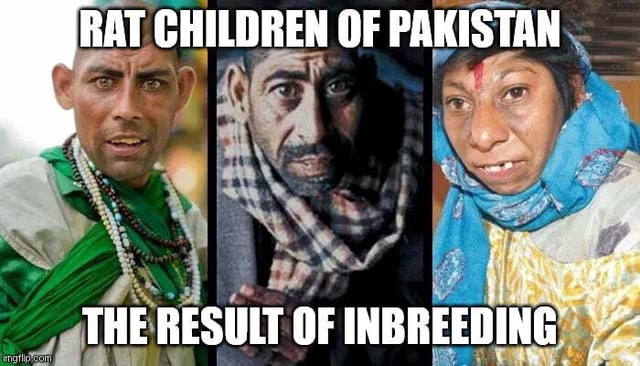 CHILDREN OF PAKISTAN THE RESULT OF INBREEDING - iFunny