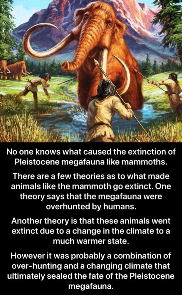 No one knows what caused the extinction of Pleistocene megafauna like ...