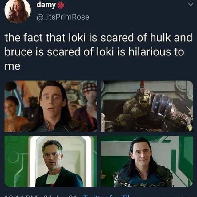 Damy itsPrimRose the fact that loki is scared of hulk and bruce is ...