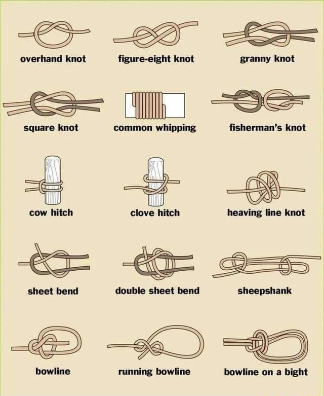 overhand-knot-figure-eight-knot-granny-knot-square-knot-common-whipping