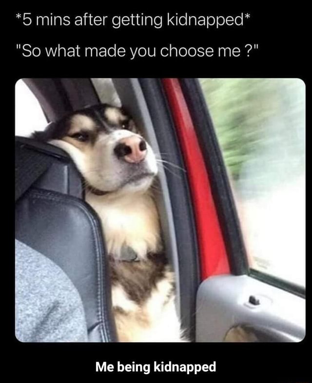 5 Mins After Getting Kidnapped So What Made You Choose Me Me Being Kidnapped Me Being Kidnapped Ifunny