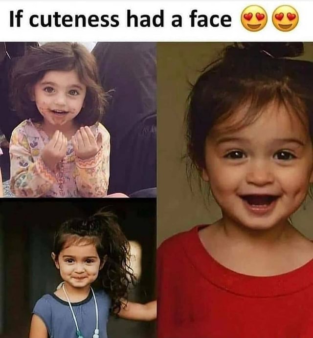 If cuteness had a face - iFunny