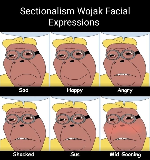 Sectionalism Wojak Facial Expressions Sad Happy Angry Shocked Sus Mid ...