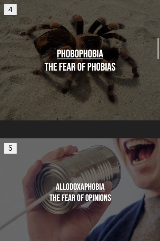 phobophobia-the-fear-of-phobias-allodoxaphobia-the-fear-of-opinions