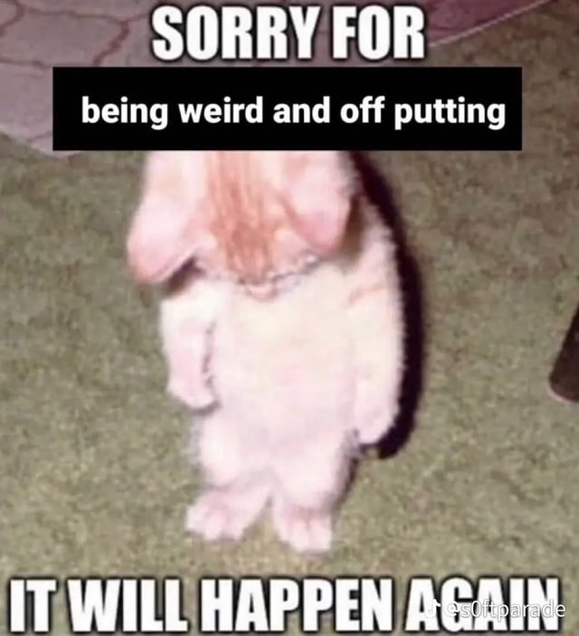 Sorry For Being Weird And Off Putting It Will Happen Again Ifunny