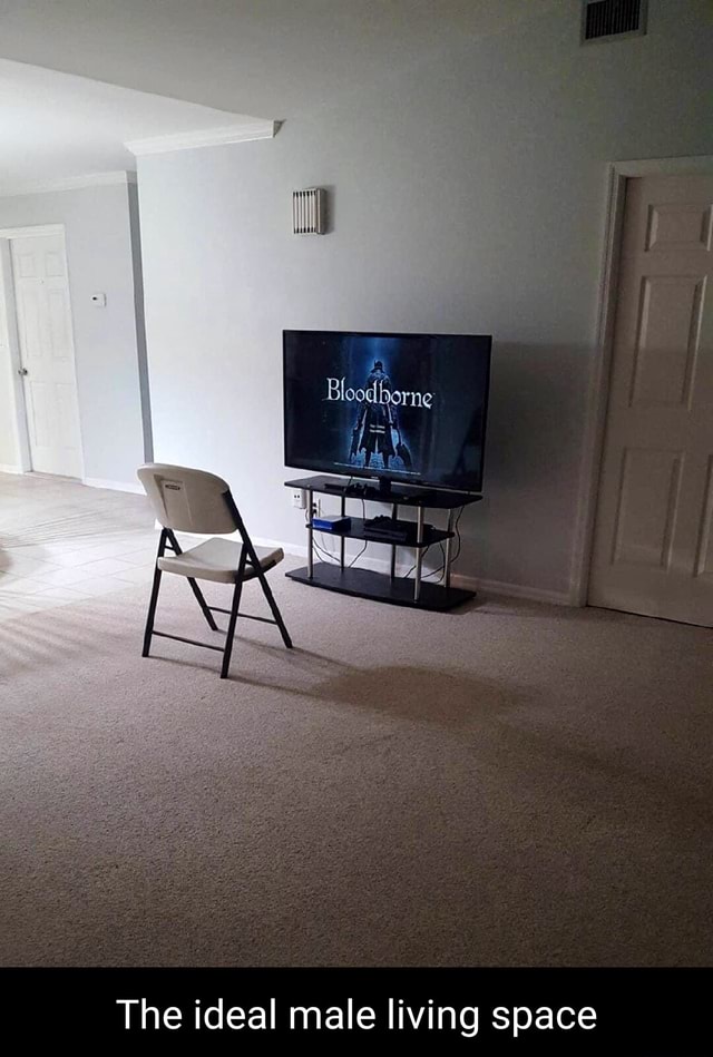 The ideal male living space - iFunny