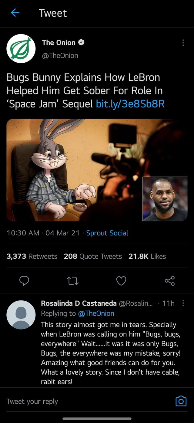 the onion lebron