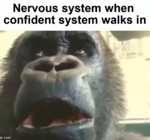 Nervous System When Confident System Walks In Nervous system when confident system walks in - iFunny