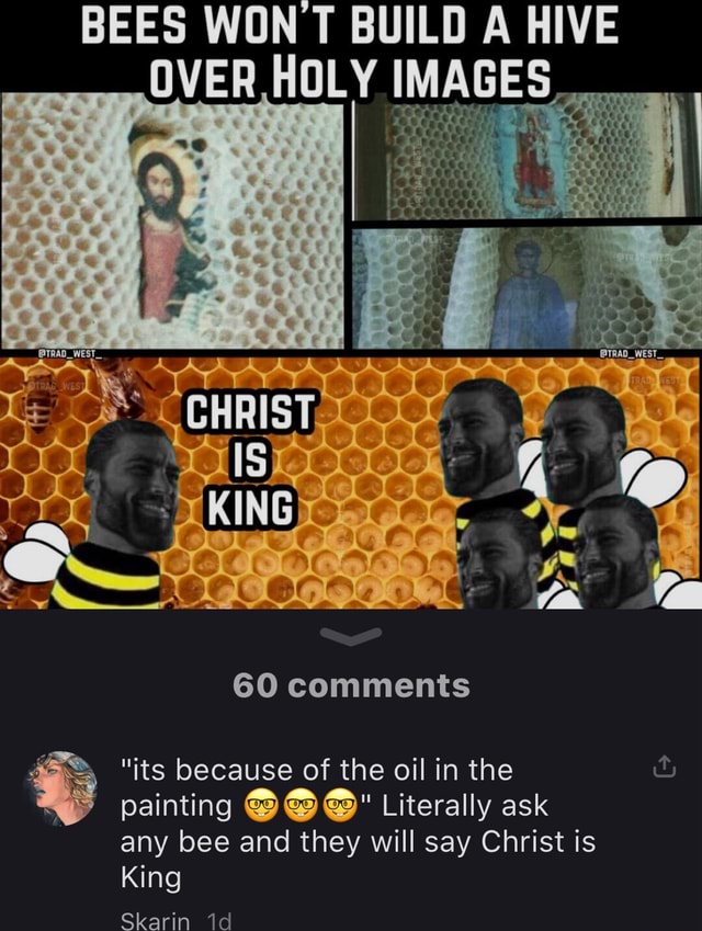 BEES WON BUILD A HIVE OVER HOLY IMAGES, 60 comments 