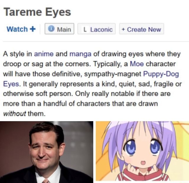 Tareme Eyes A style in anime and manga of drawing eyes where they droop