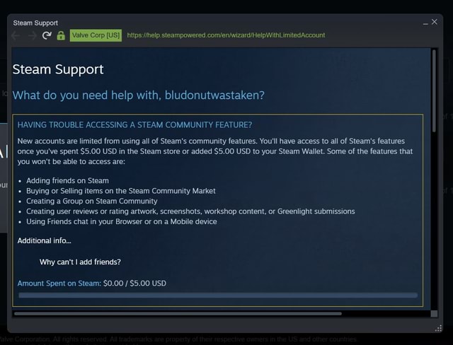 Steam support chat
