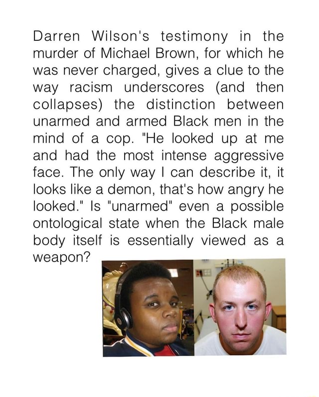 Darren Wilson s Testimony In The Murder Of Michael Brown For Which He 