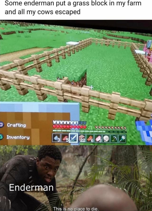 enderman grass block