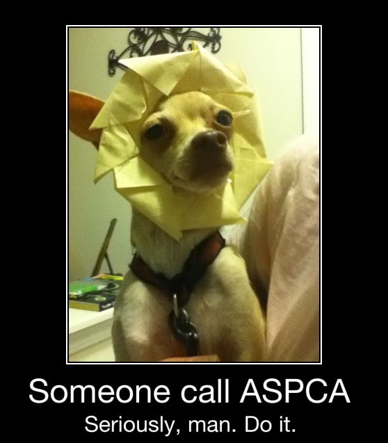 E Someone Call Aspca Seriously Man Do It Someone Call Aspca Seriously Man Do It