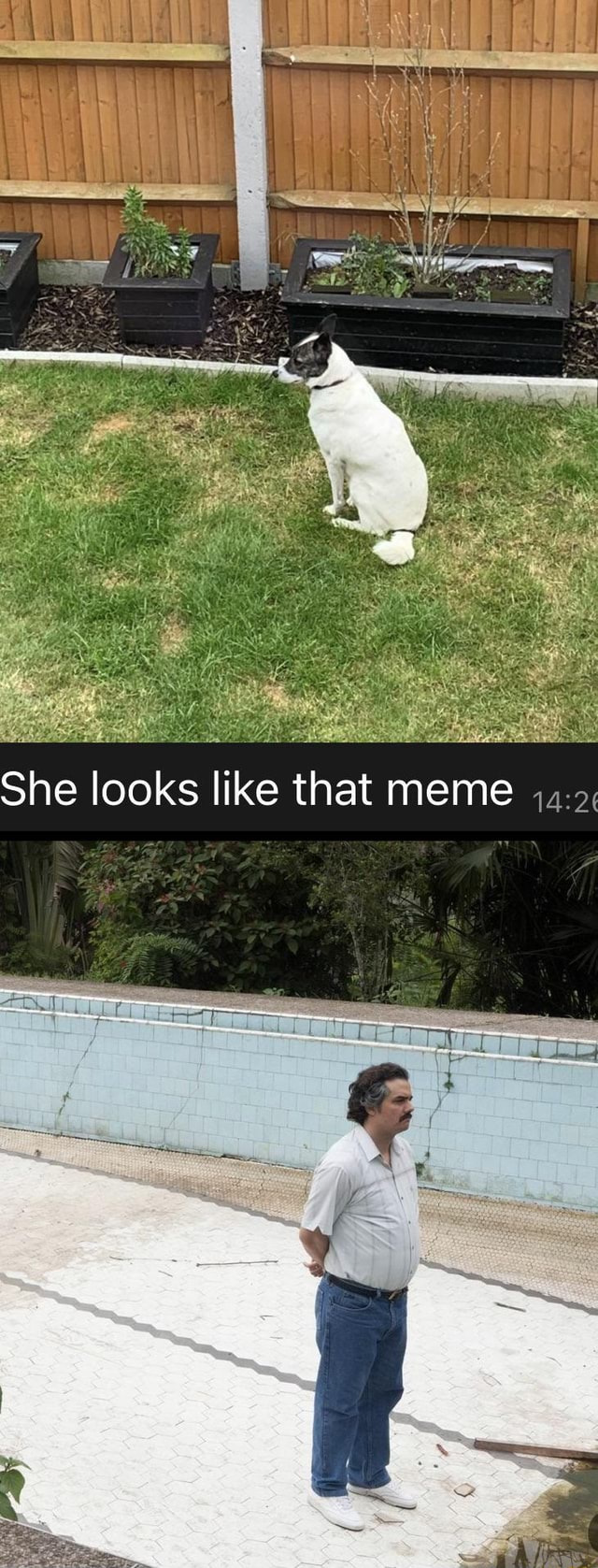 She looks like that meme iFunny