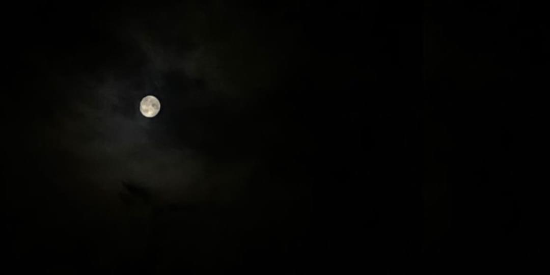 iFunny banner for @Frank