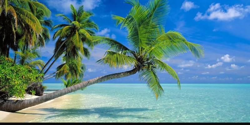 iFunny banner for @coastal