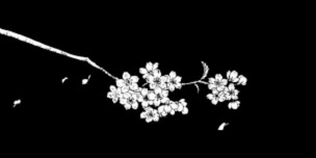 iFunny banner for @Lonly