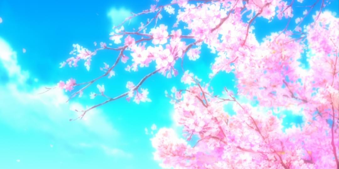 iFunny banner for @Shikimori