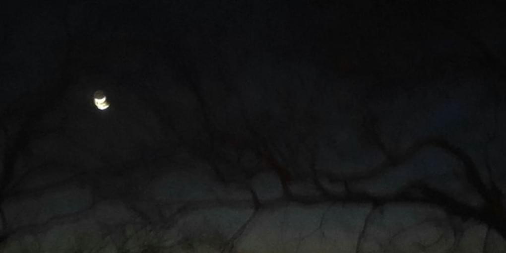 iFunny banner for @Vermilion