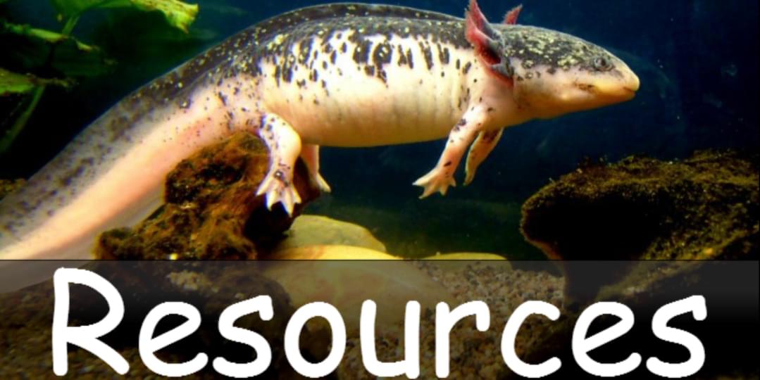 iFunny banner for @Resources