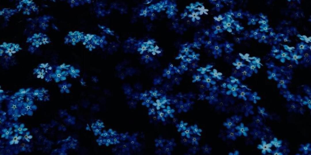iFunny banner for @Healer