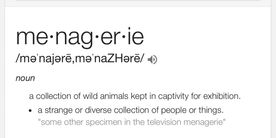 iFunny banner for @Menagerie