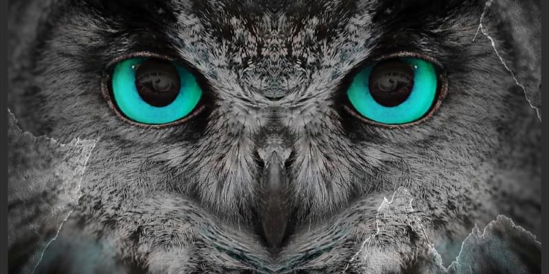 iFunny banner for @Prized