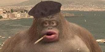 iFunny banner for @Patnoon