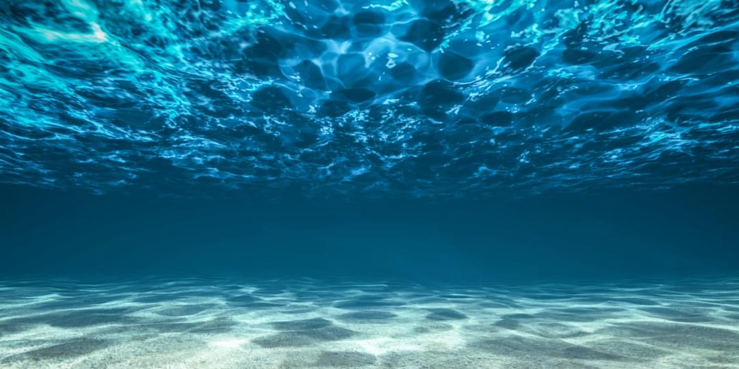 iFunny banner for @swimming