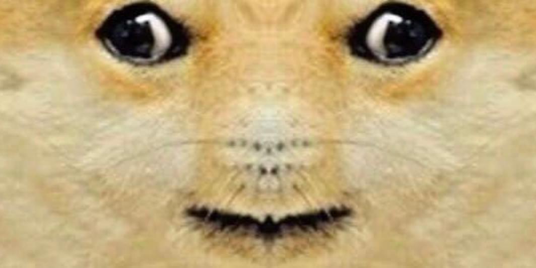 iFunny banner for @Mallard