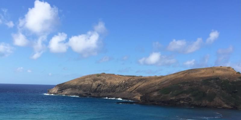 iFunny banner for @Vanuatu