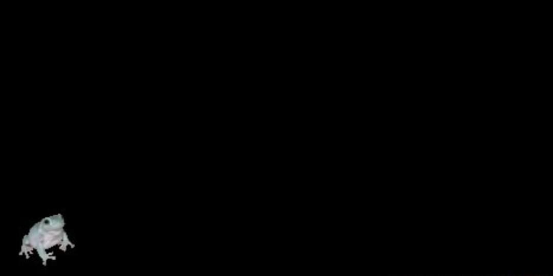 iFunny banner for @Stranger