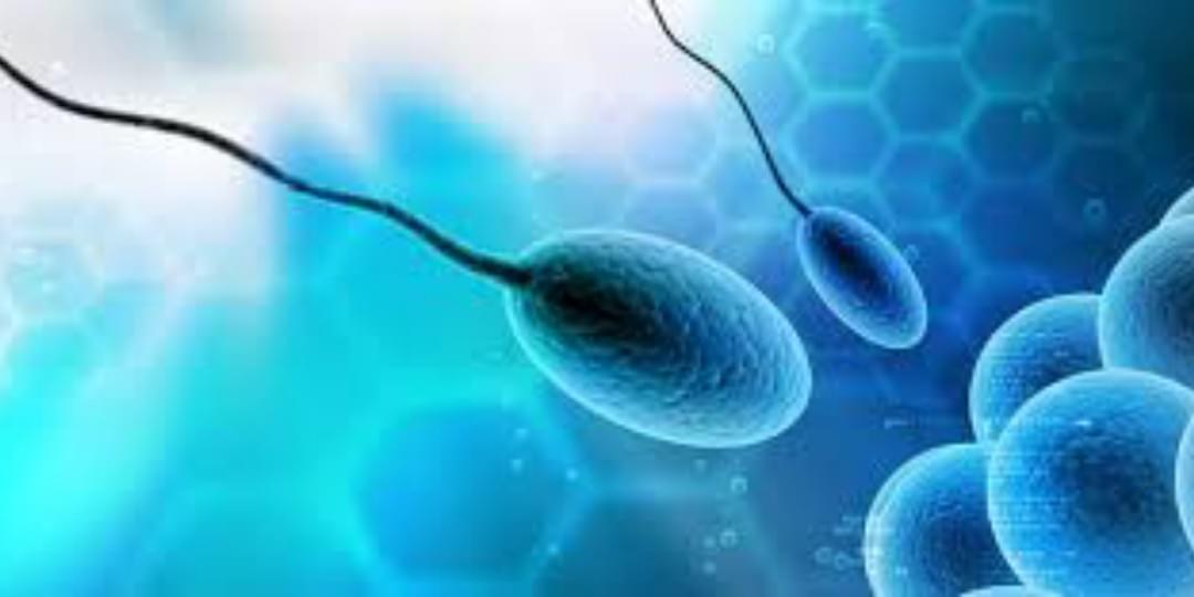 iFunny banner for @Sperm