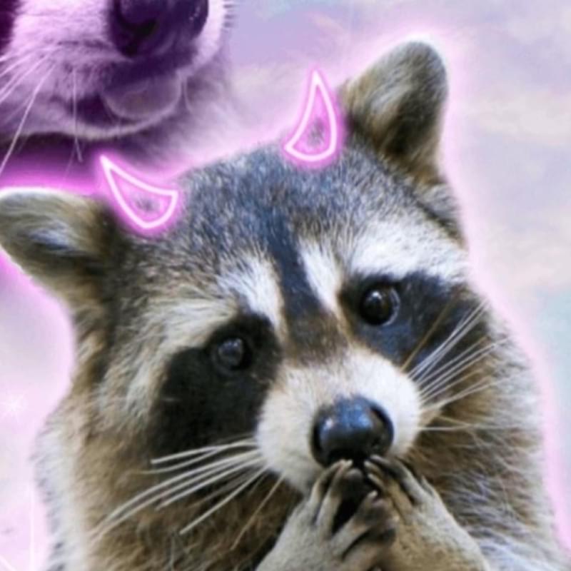 iFunny profile picture for @Djibouti