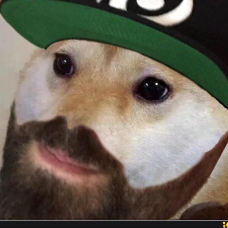 iFunny profile picture for @Gabe
