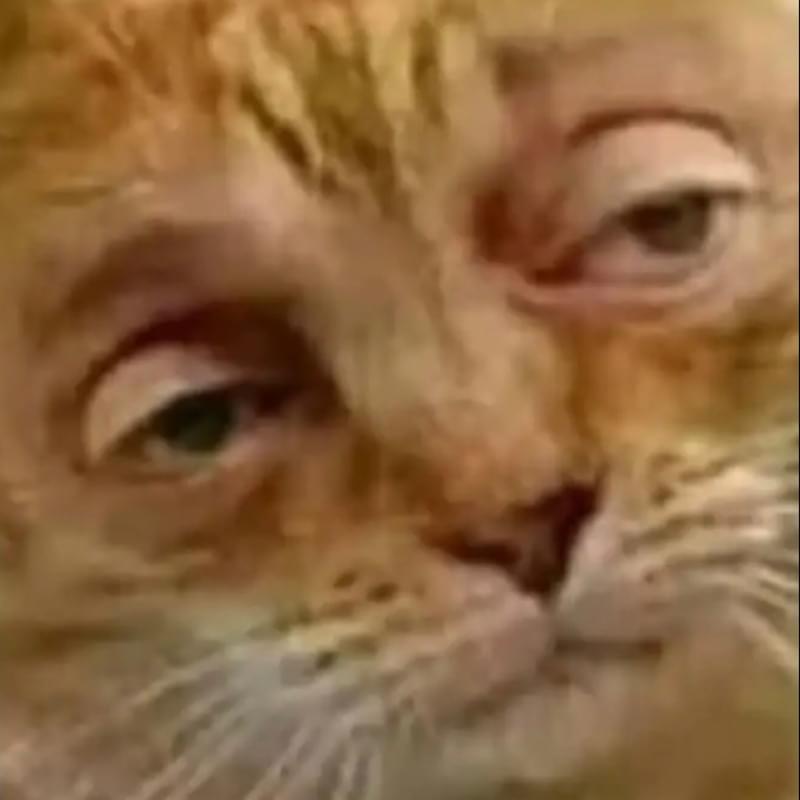 iFunny profile picture for @Pompous