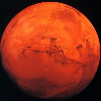 iFunny profile picture for @Mars